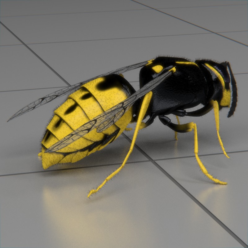 wasp animated preview image 1